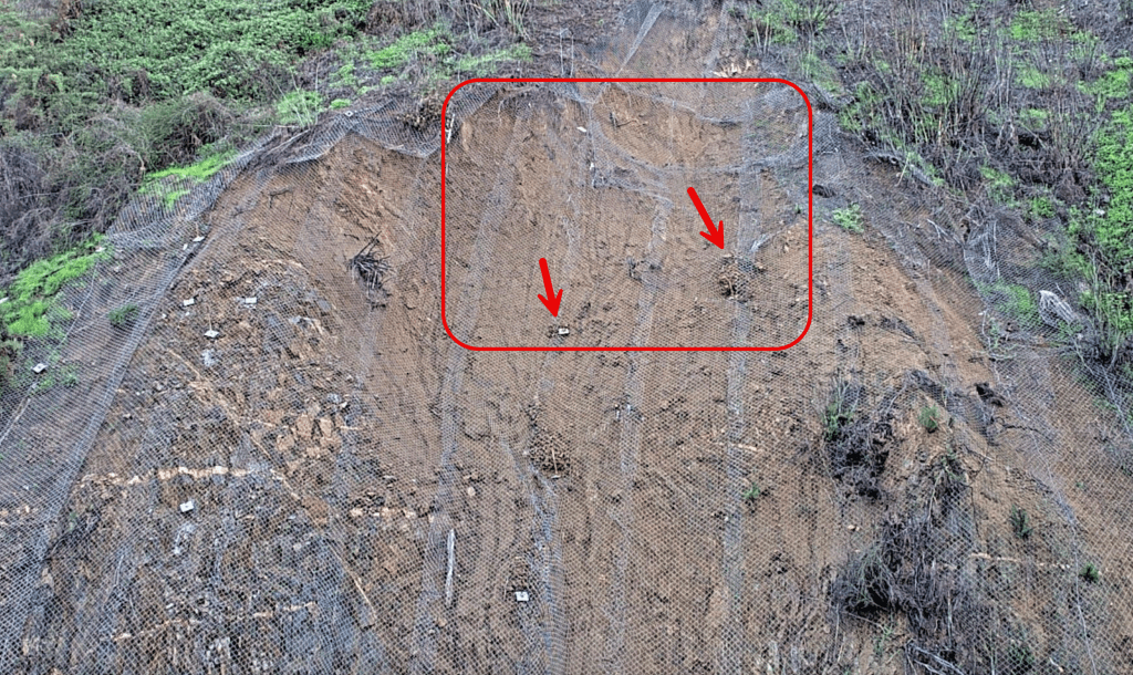Infinity Neural – Rust Neural — Talud con malla de contención; zona central erosionada marcada en rojo con flechas que señalan anclajes comprometidos.