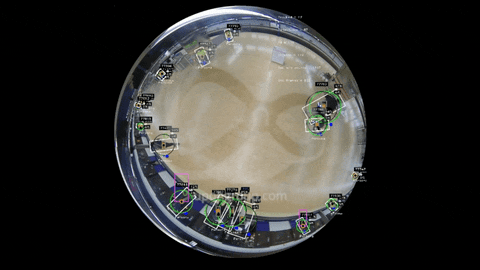 Id 044 – Lemon – Cuenta los pasajeros en el andén_LR