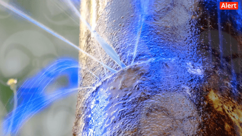 Rust Neural — Fuga de agua en tubería, chorros visibles y alerta activa.